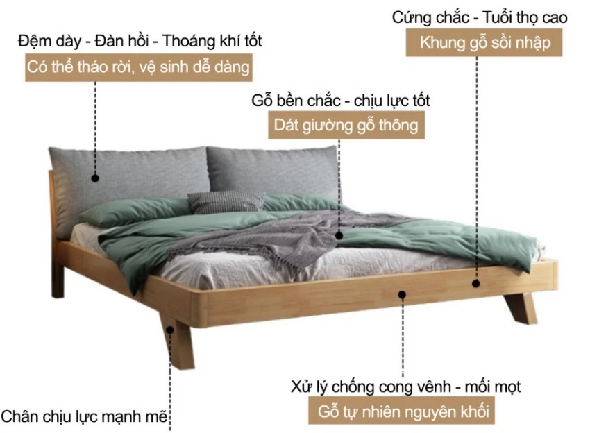 Cấu tạo giường gỗ WB111 