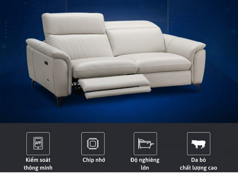 Bộ sofa đôi thư giãn SR4