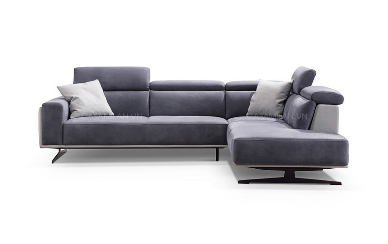 Ghế sofa một sofa chữ L và một sofa văng