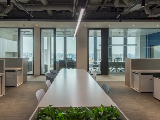 Hoàn thiện thi công công ty tài chính trên 1000m2